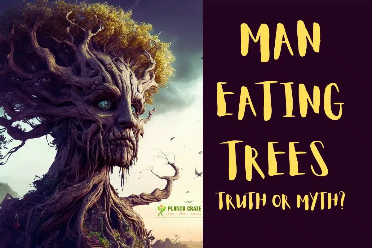 Man Eating Tree Do They Really Exist? [Myth Busting!]