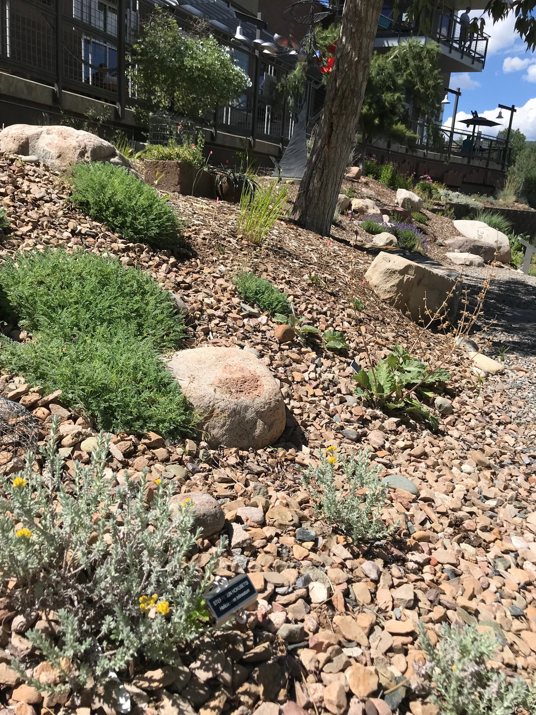 Durango Botanic Gardens Plant Select