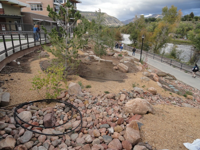 Durango Botanic Gardens Plant Select