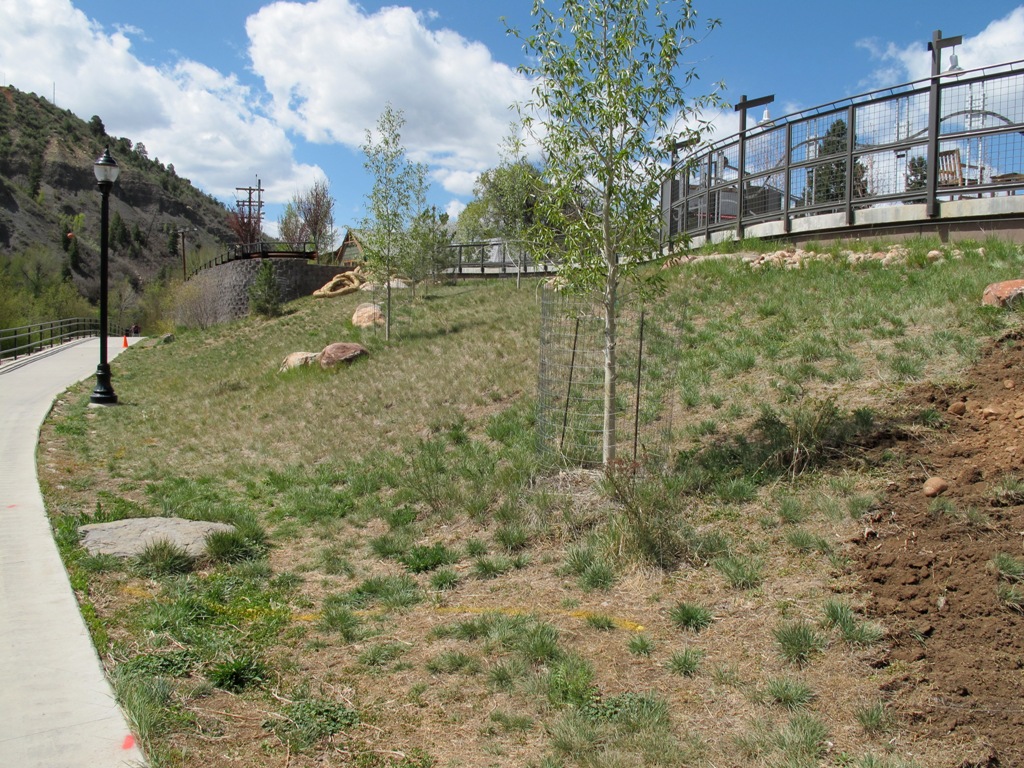 Durango Botanic Gardens Plant Select