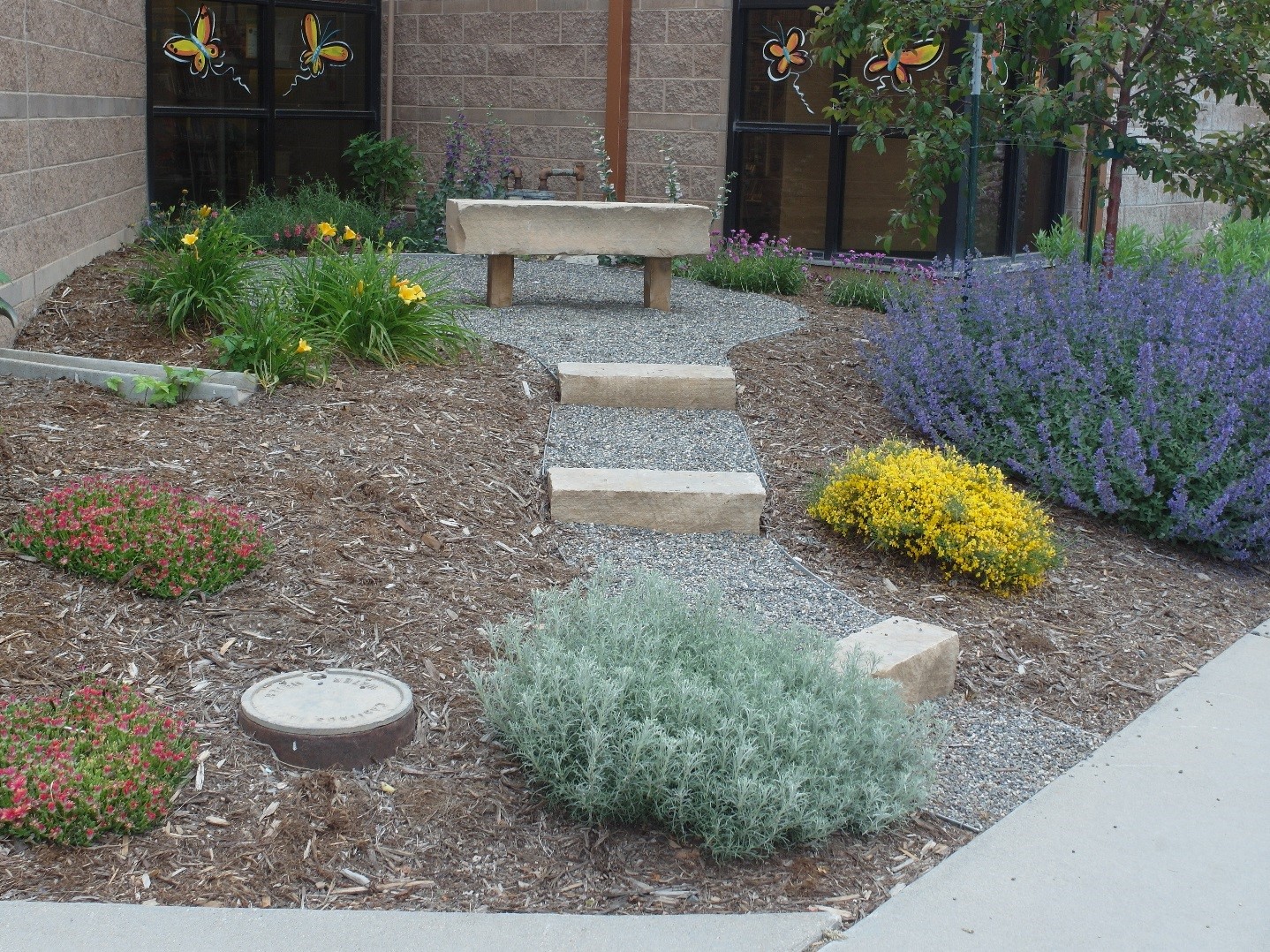 Berthoud Community Library District Plant Select