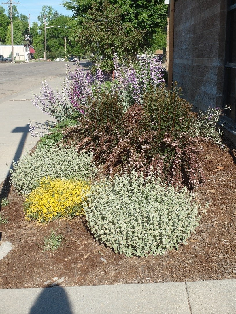Berthoud Community Library District Plant Select