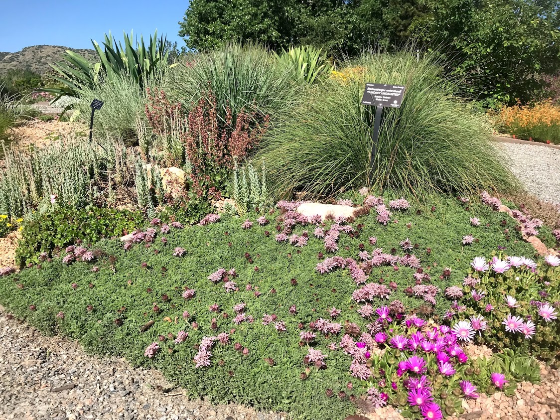 Denver Botanic Gardens at Chatfield Plant Select