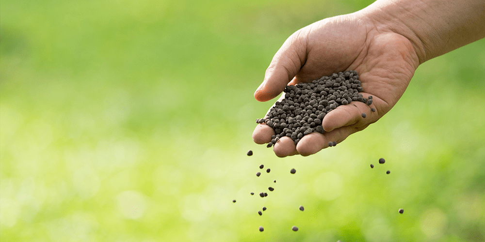 Understanding Fertilizers Plants for All Seasons Since 1973