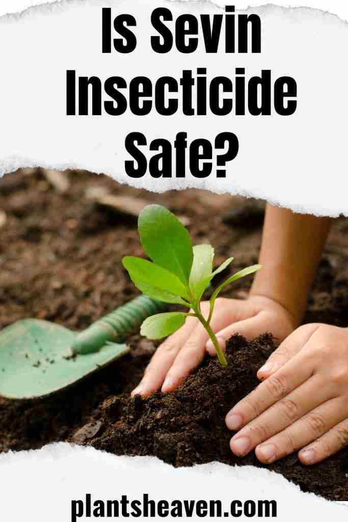 Is Sevin Insecticide Safe? Let's Unfold The Truth! Plants Heaven