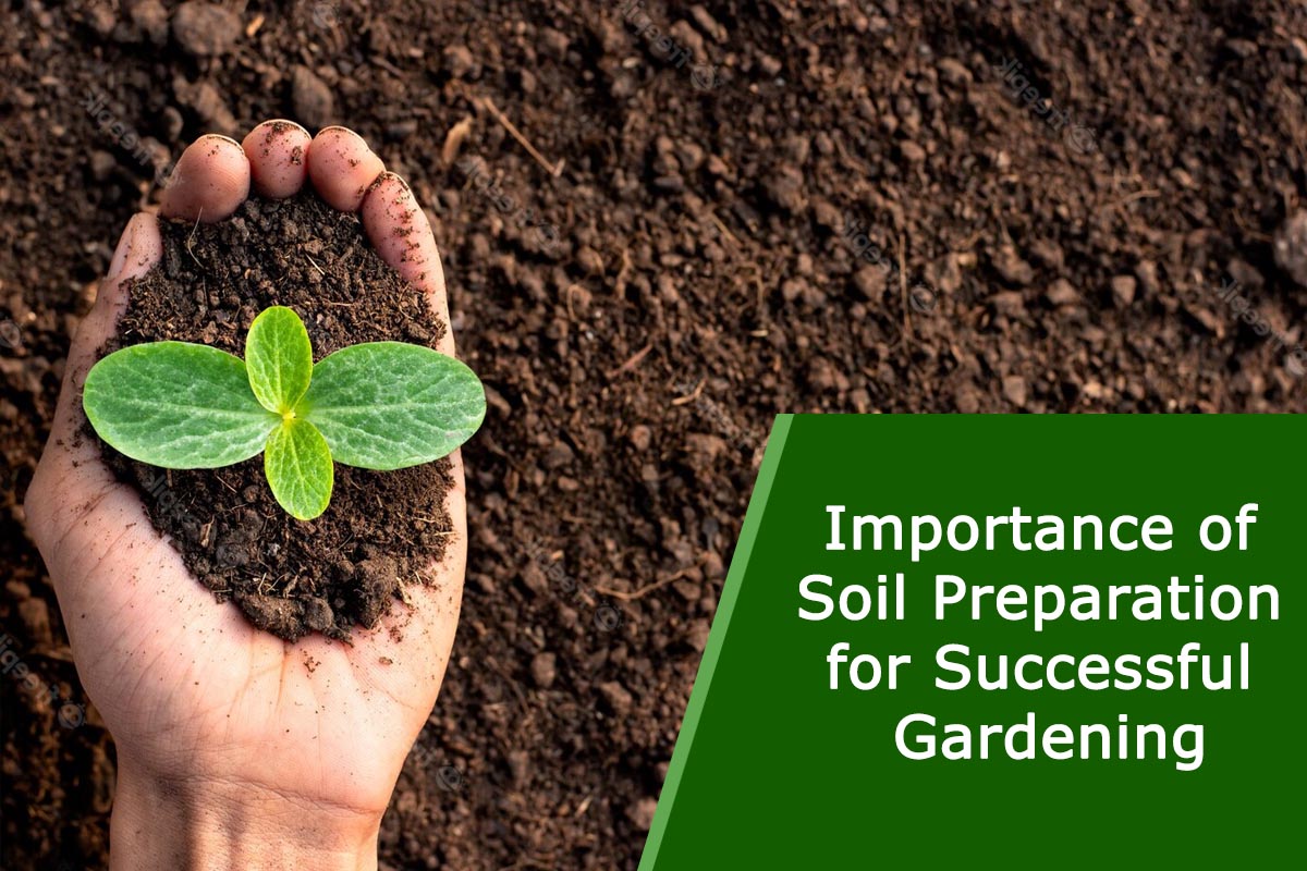 Importance of Soil Preparation for Successful Gardening Plants