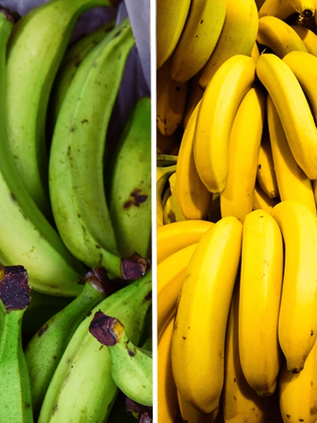 Plants Information  Stories