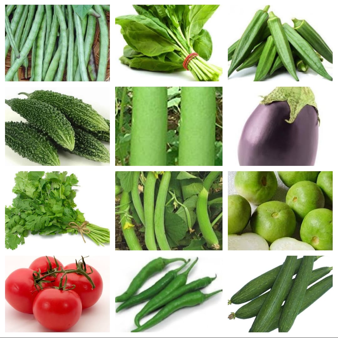 Summer Kitchen Garden Kit (Set of 12 Selected Varieties) Buy Online Vegetable, Flower Seeds