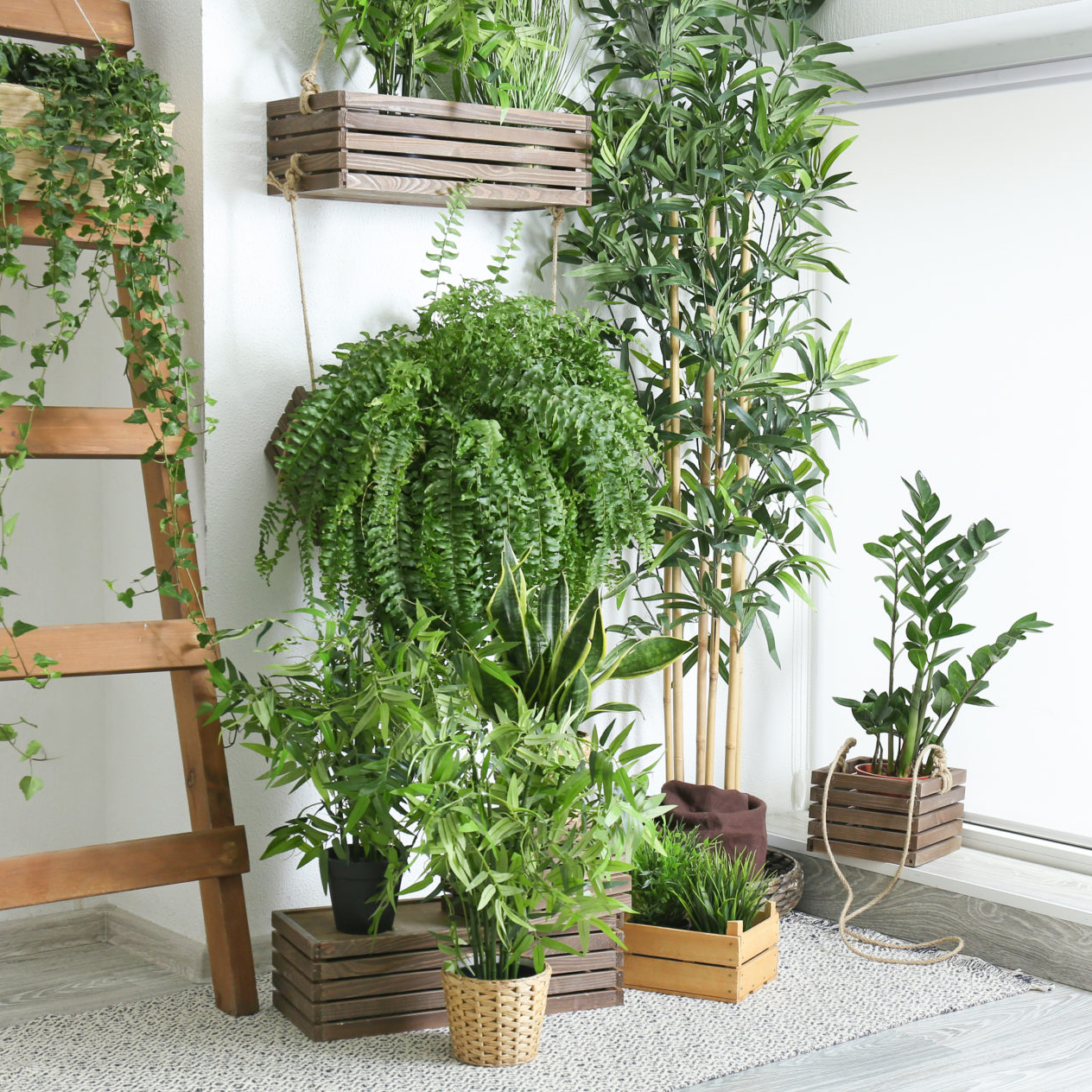 Complete Houseplant Care System Plantsmith