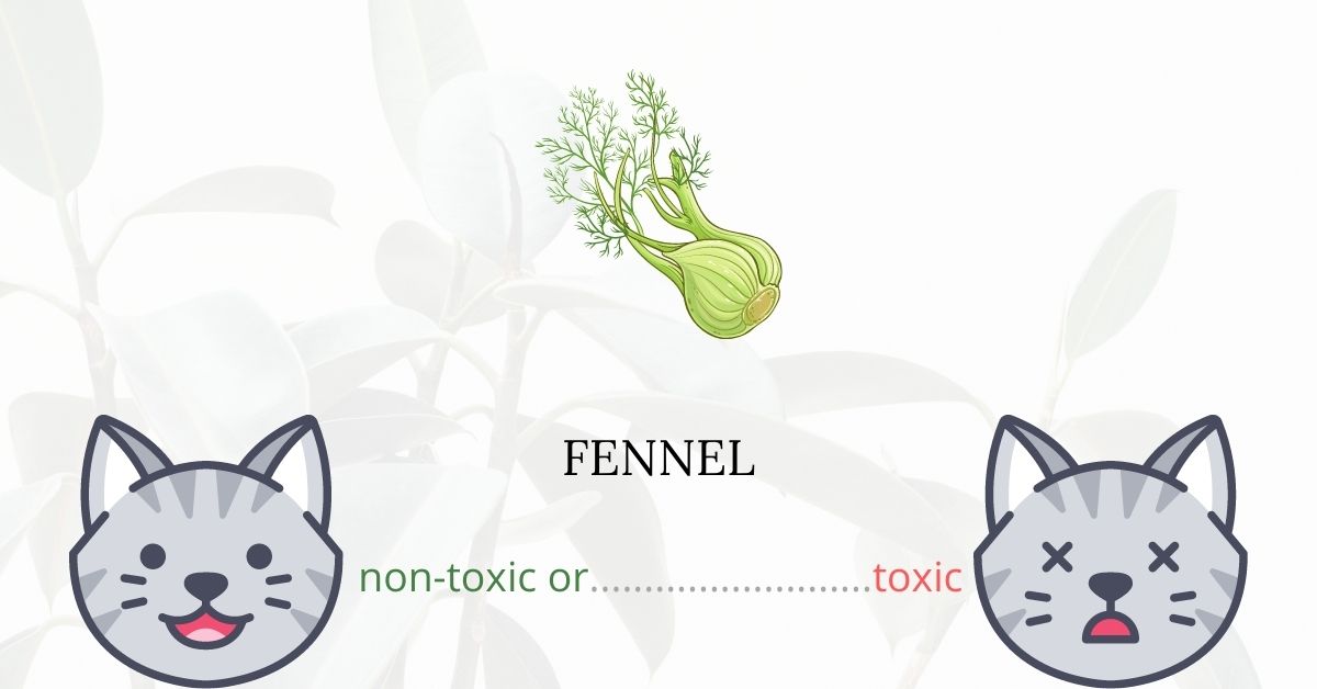 Is Fennel Toxic For Cats?