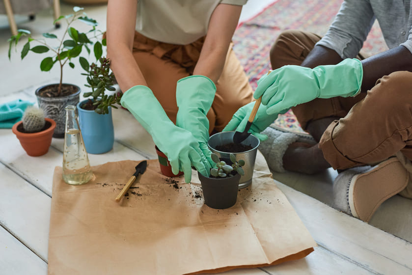 Learn All About Planting! Click Here