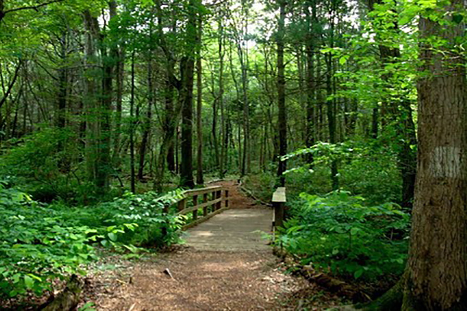 NaturePreserves Plant Something Long Island Live Better Grow Better