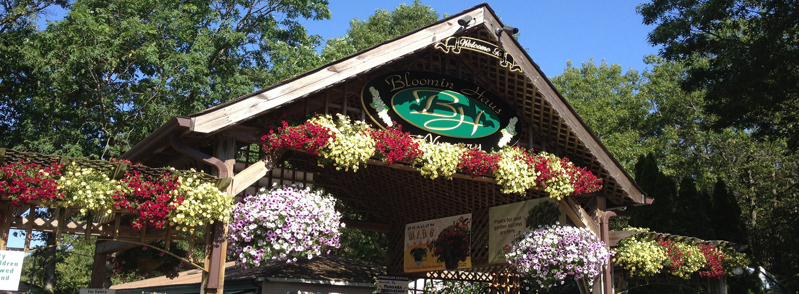 Buy Local Plant Something Long Island Live Better Grow Better