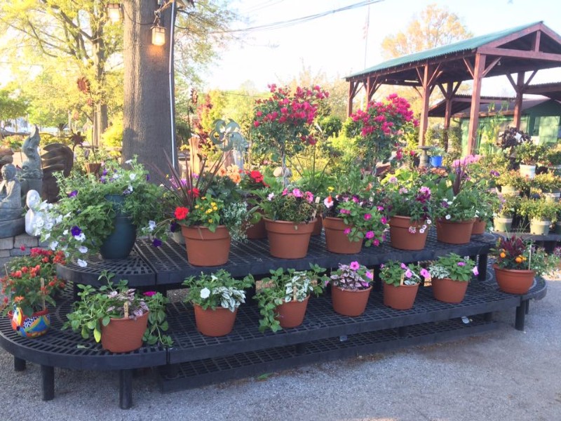 BAYPORT FLOWERS Plant Something Long Island Live Better Grow Better