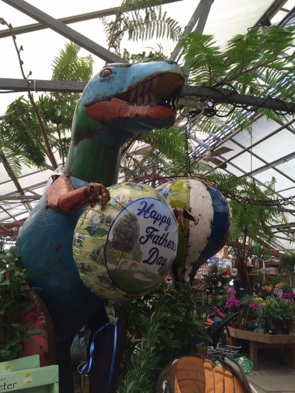 BAYPORT FLOWERS Plant Something Long Island Live Better Grow Better