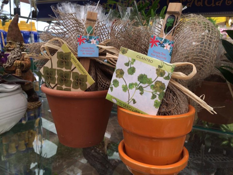 BAYPORT FLOWERS Plant Something Long Island Live Better Grow Better