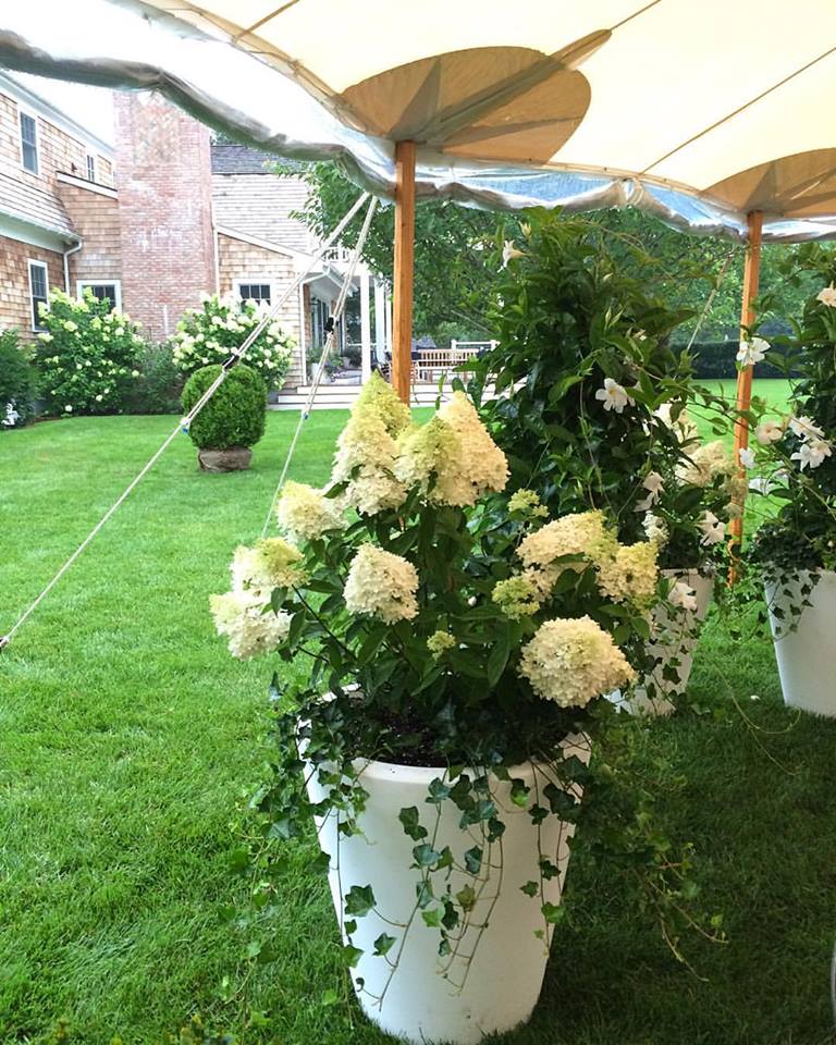 Whitmores Landscaping Plant Something Long Island Live Better