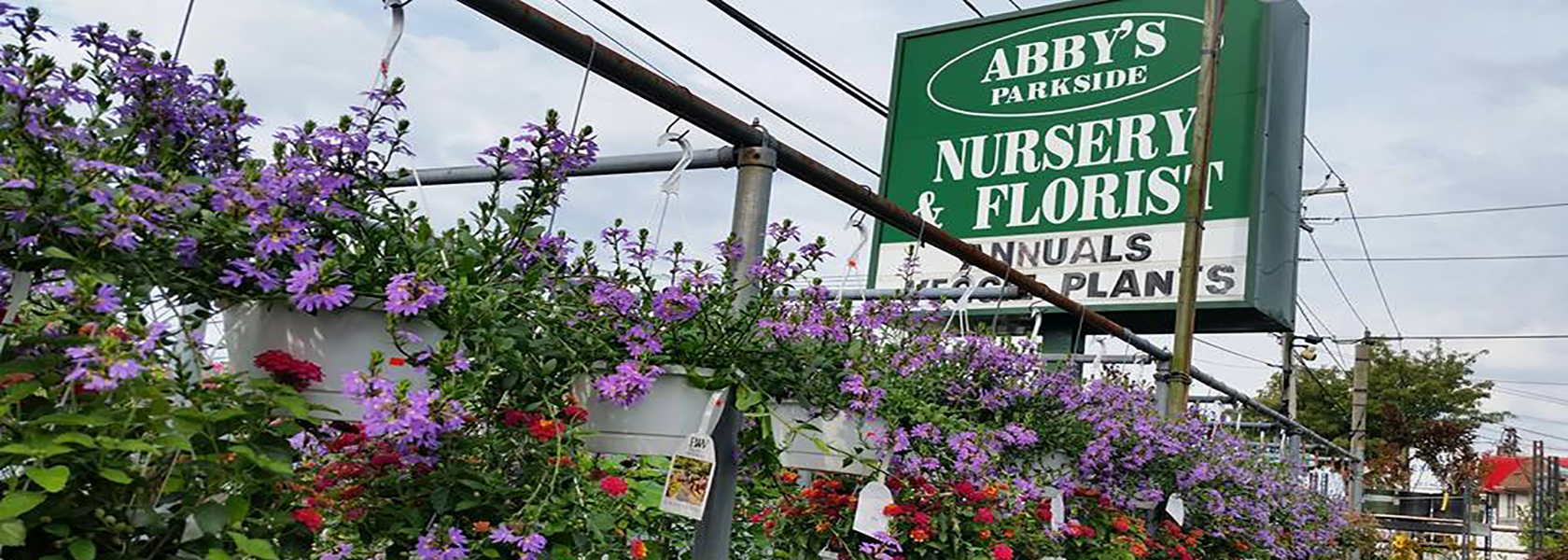 Abbys Parkside Nursery Plant Something Long Island Live Better