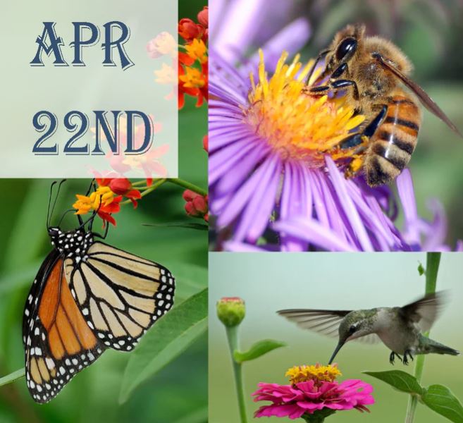 Planting for Pollinators at Blooming Junction Plant Something Oregon