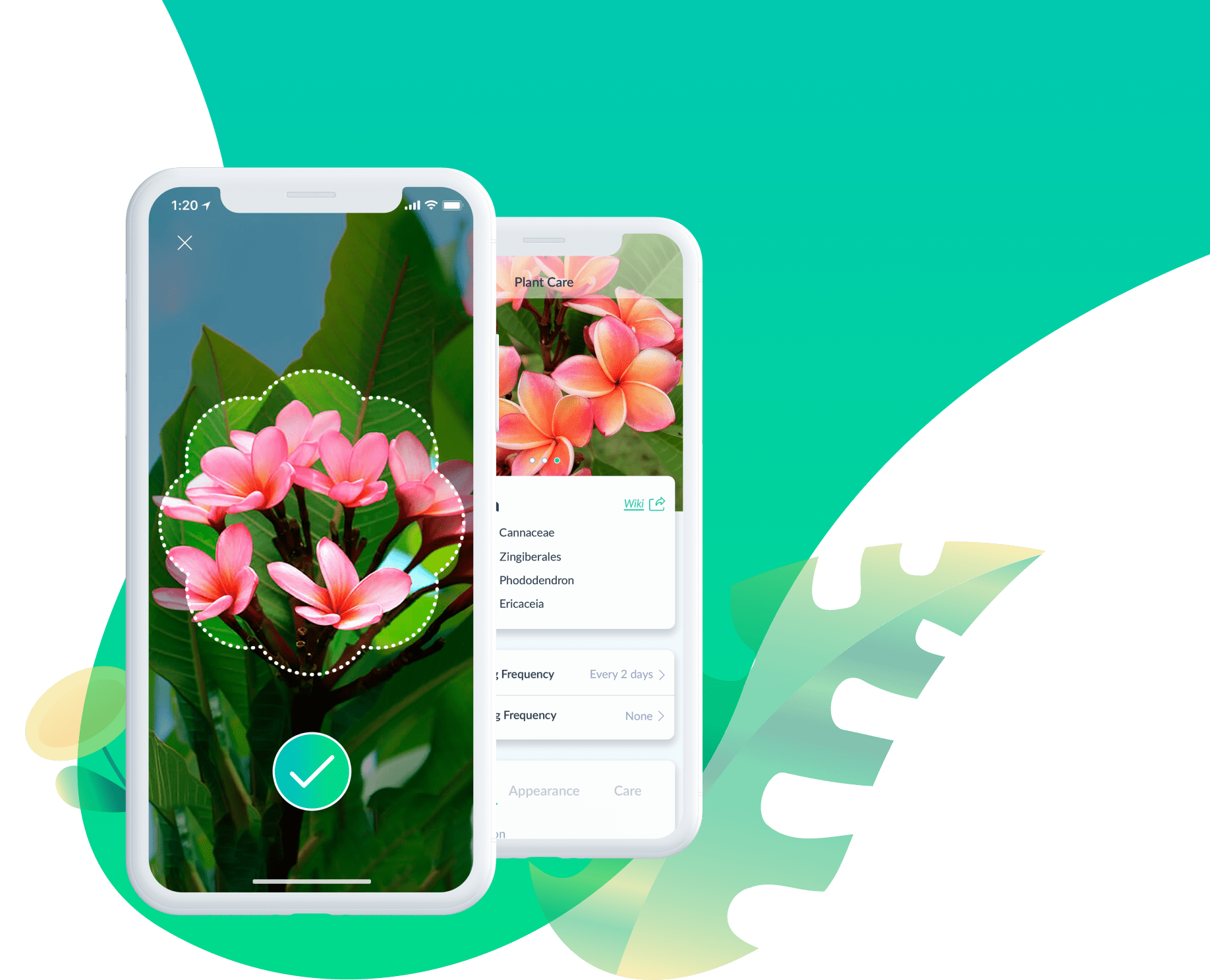 Plant Identification App PlantSpot