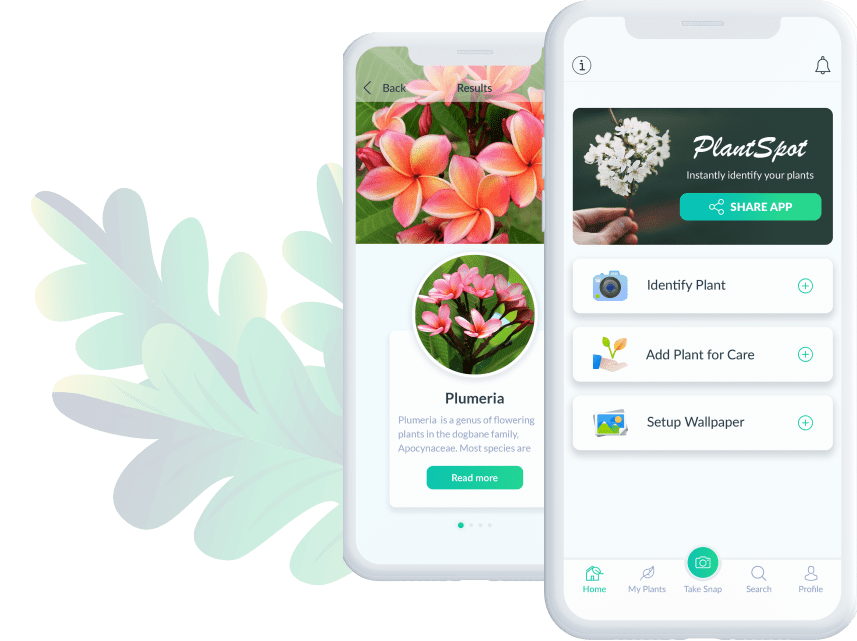 Plant Identification App PlantSpot