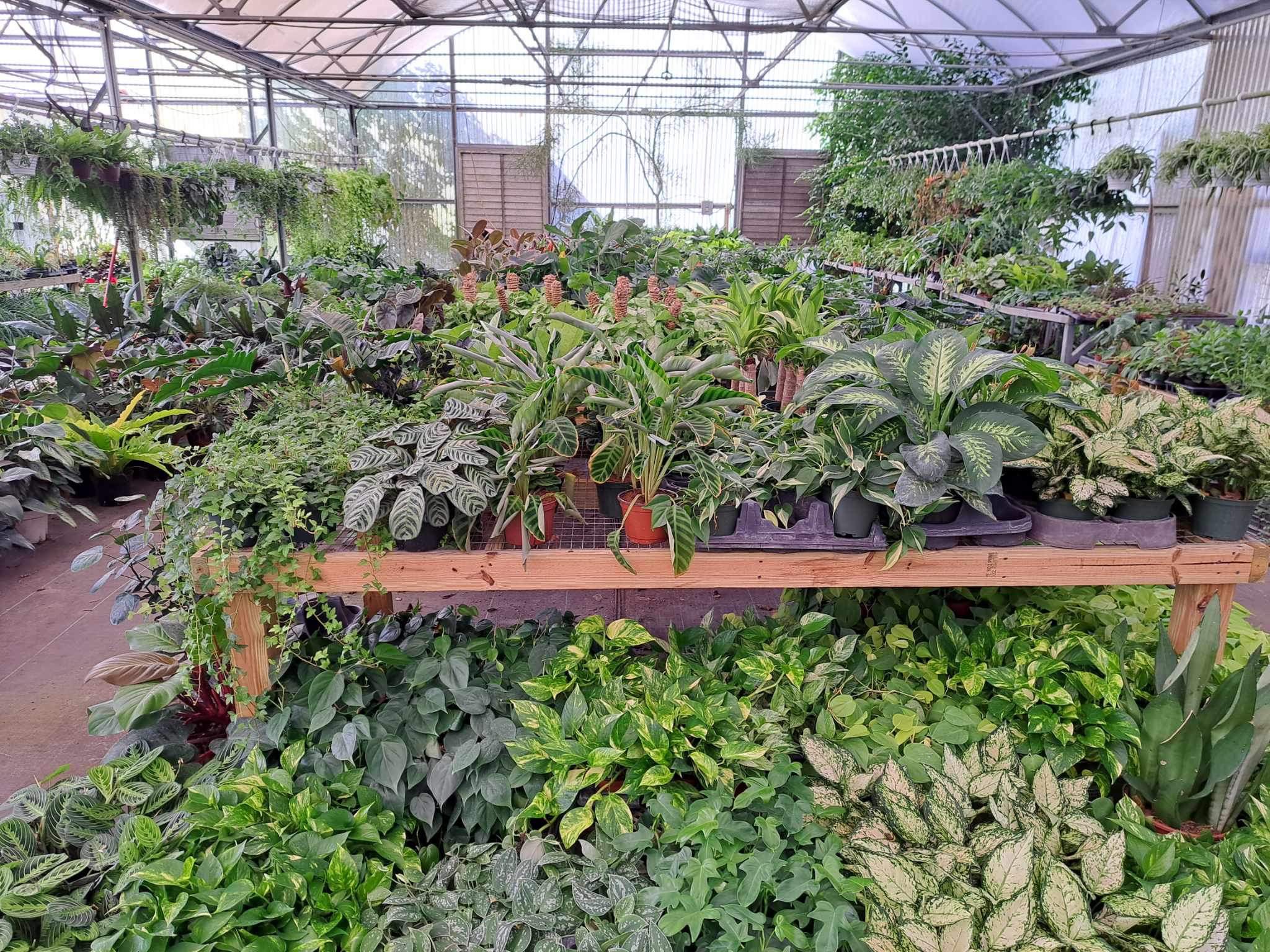 Plants Plants R Us