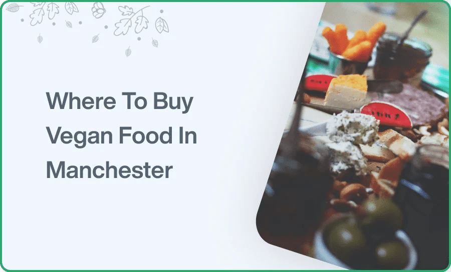 10 Best Vegan Restaurants in Manchester Feed Your Soul!