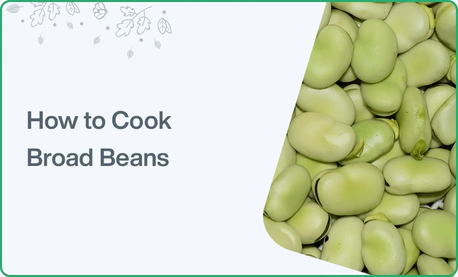 How to Cook Broad Beans How Long Does It Take To Boil