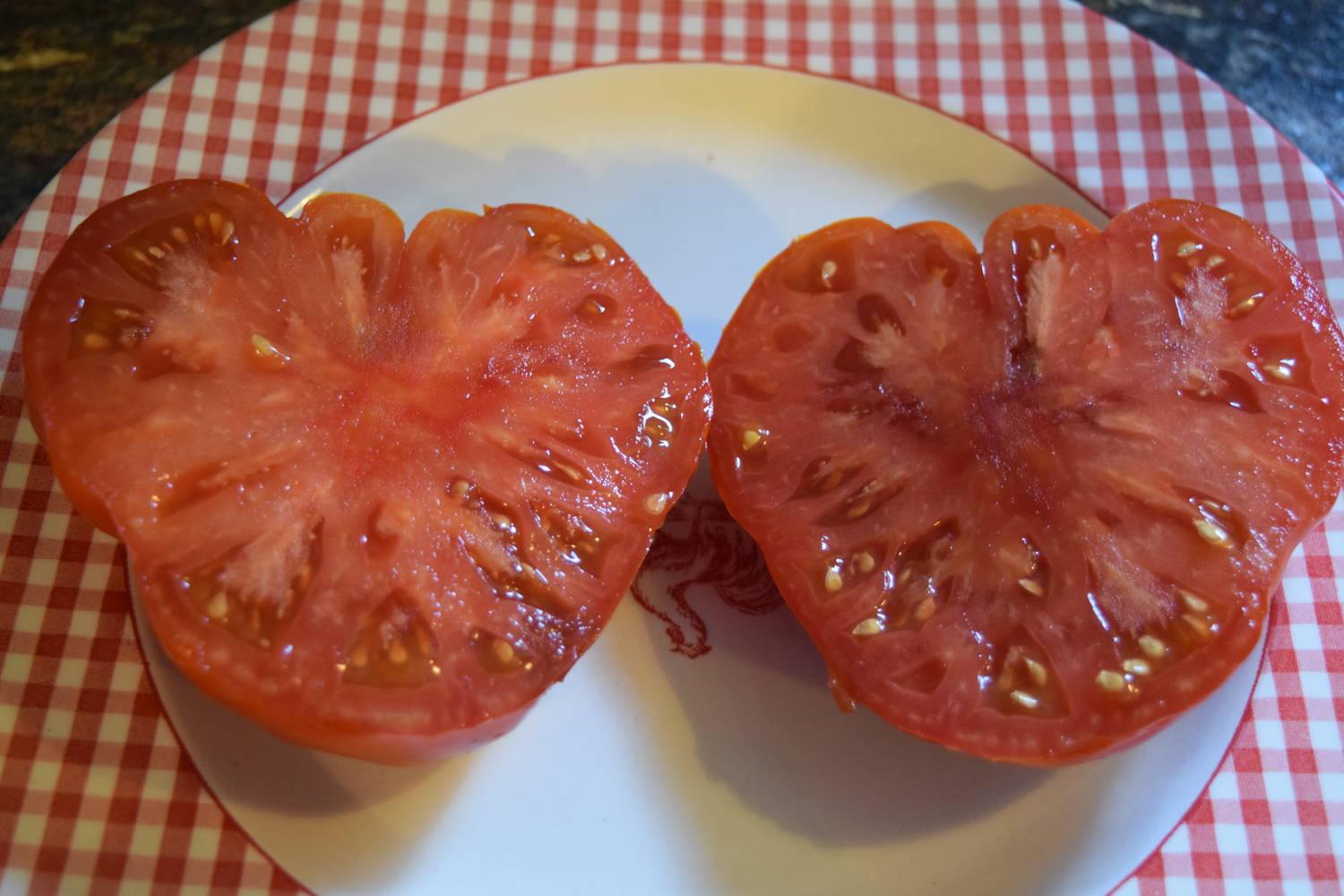 Plants with Stories Brandywine, OTV