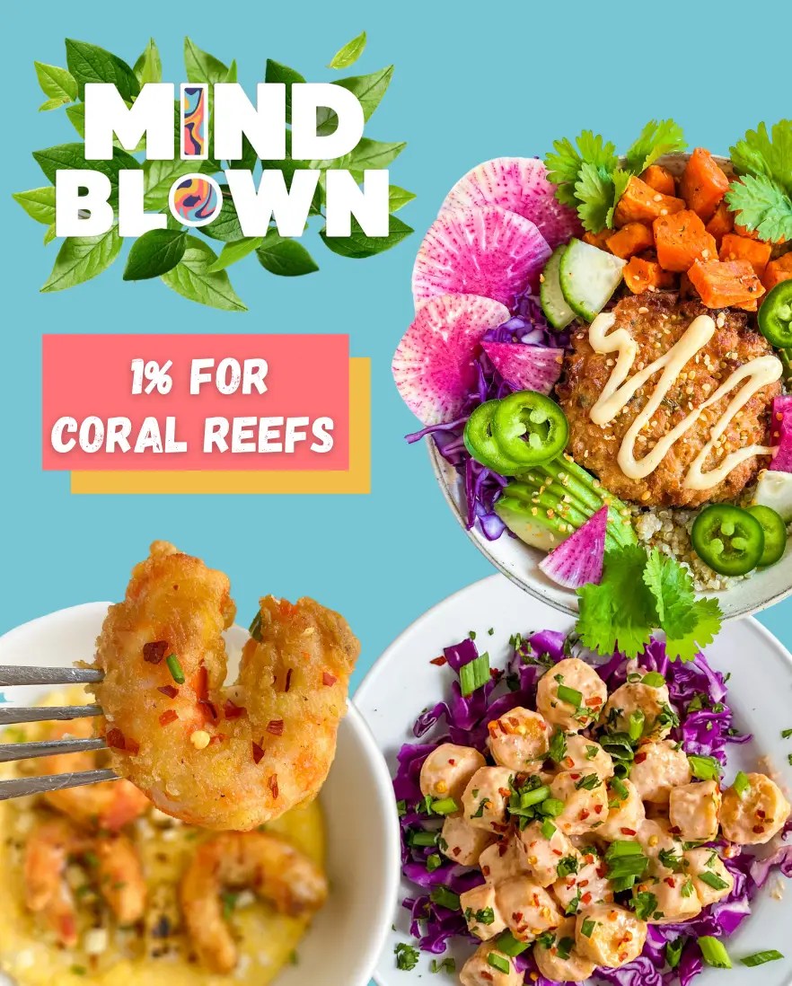 The PlantBased Seafood Co. Delicious Vegan Seafood Alternatives