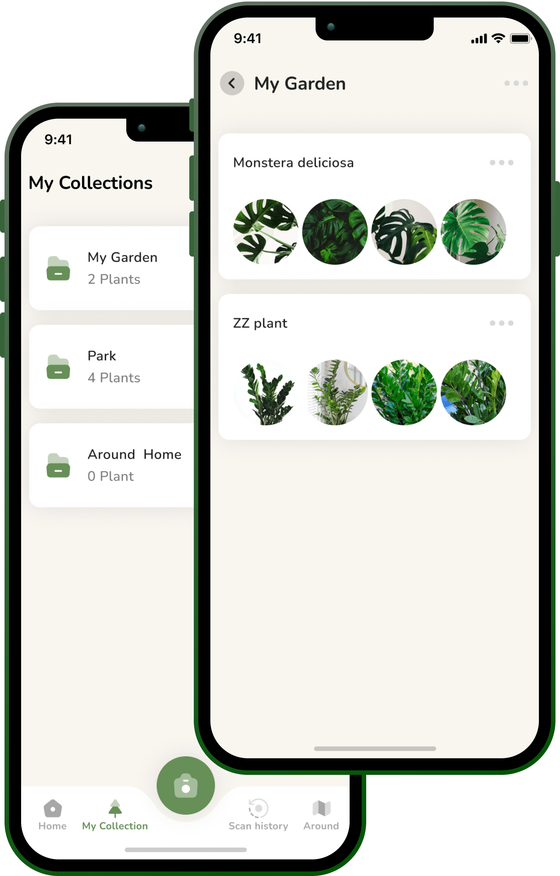 Planty Life Plant Identification