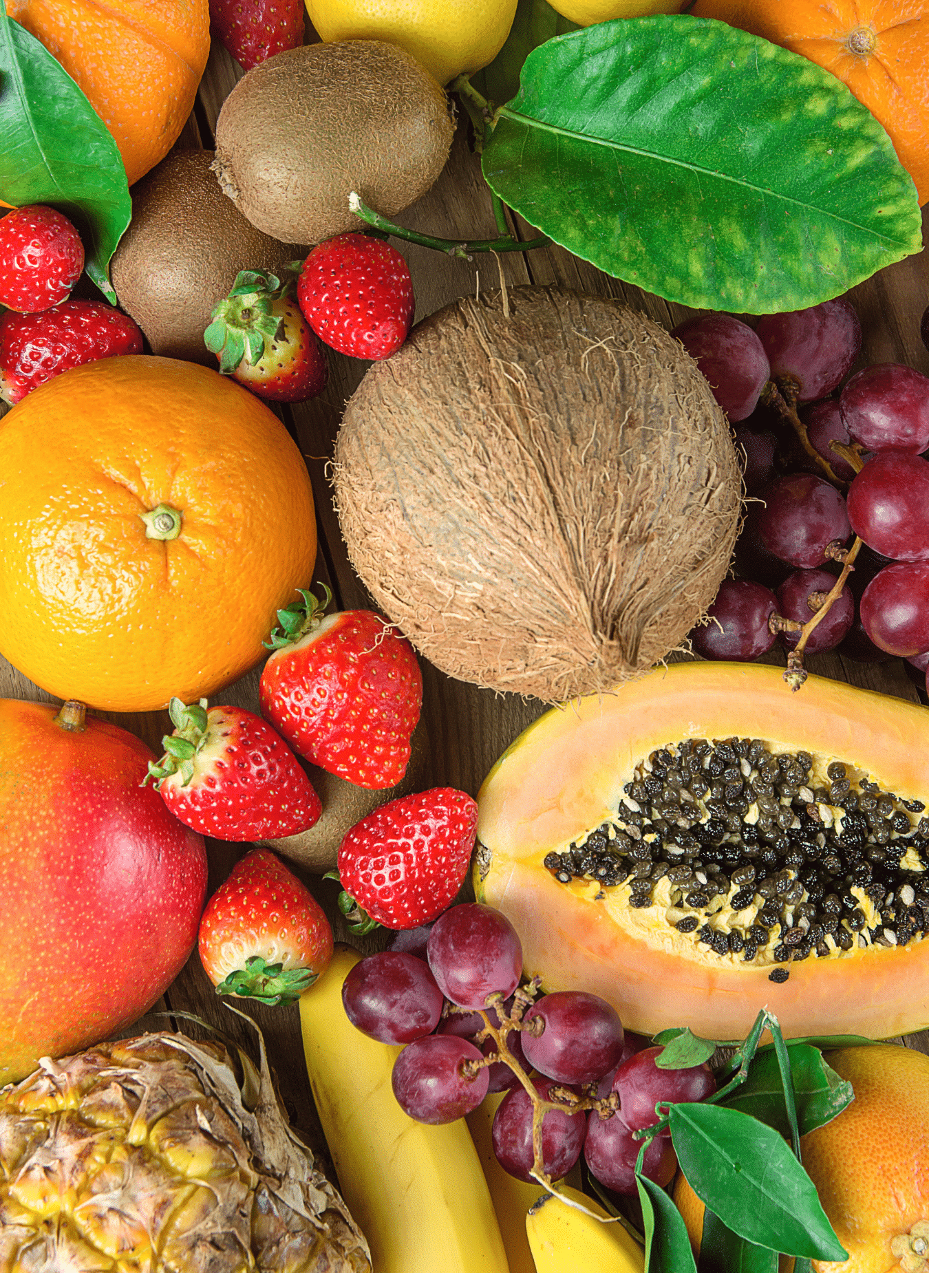 The Difference Between Plant Based and Vegan PlantYou