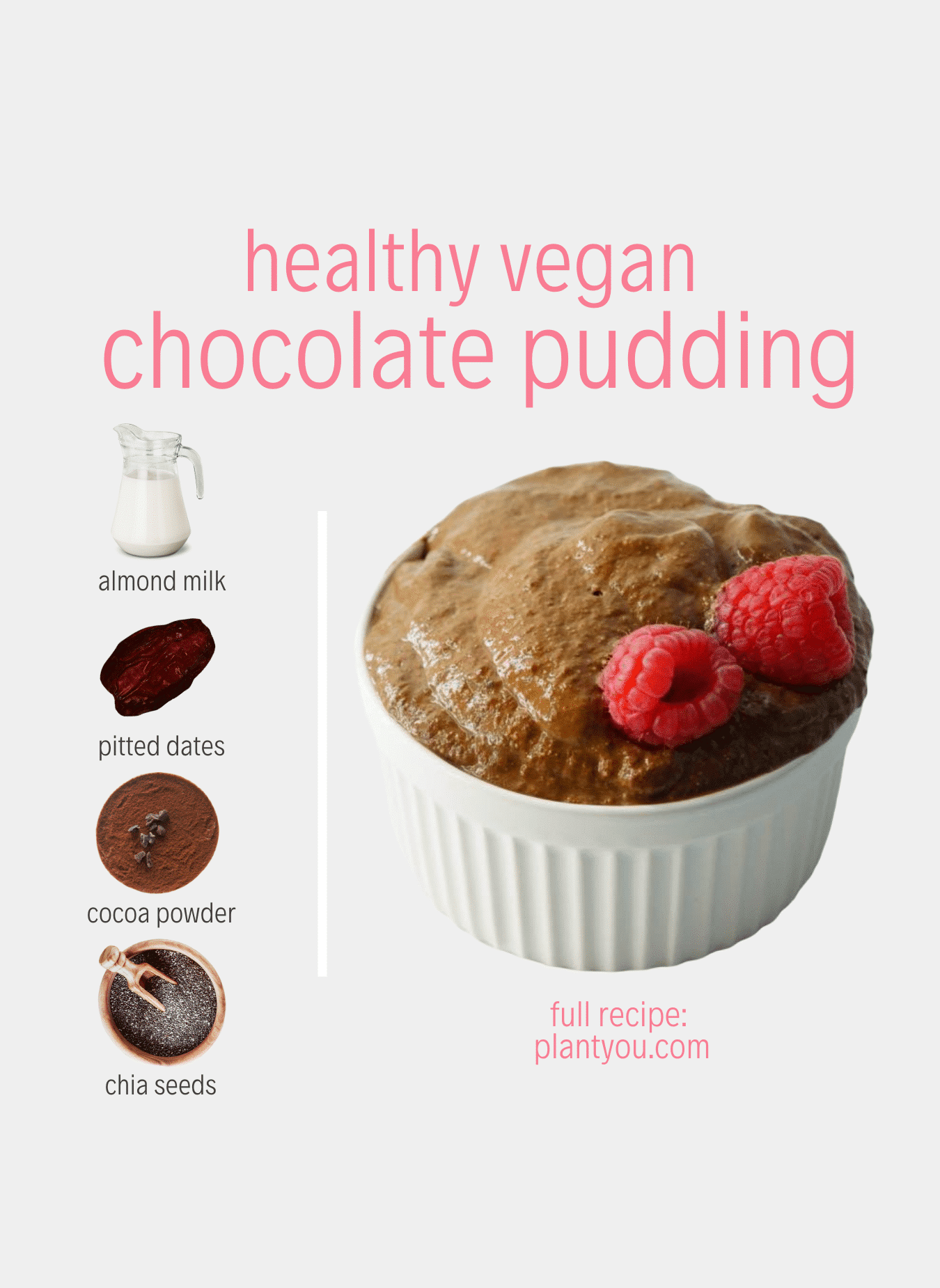 Healthy Vegan Chocolate Pudding PlantYou