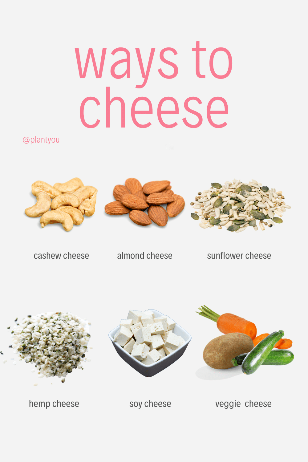 How To Give Up Cheese Plant You Blog Articles