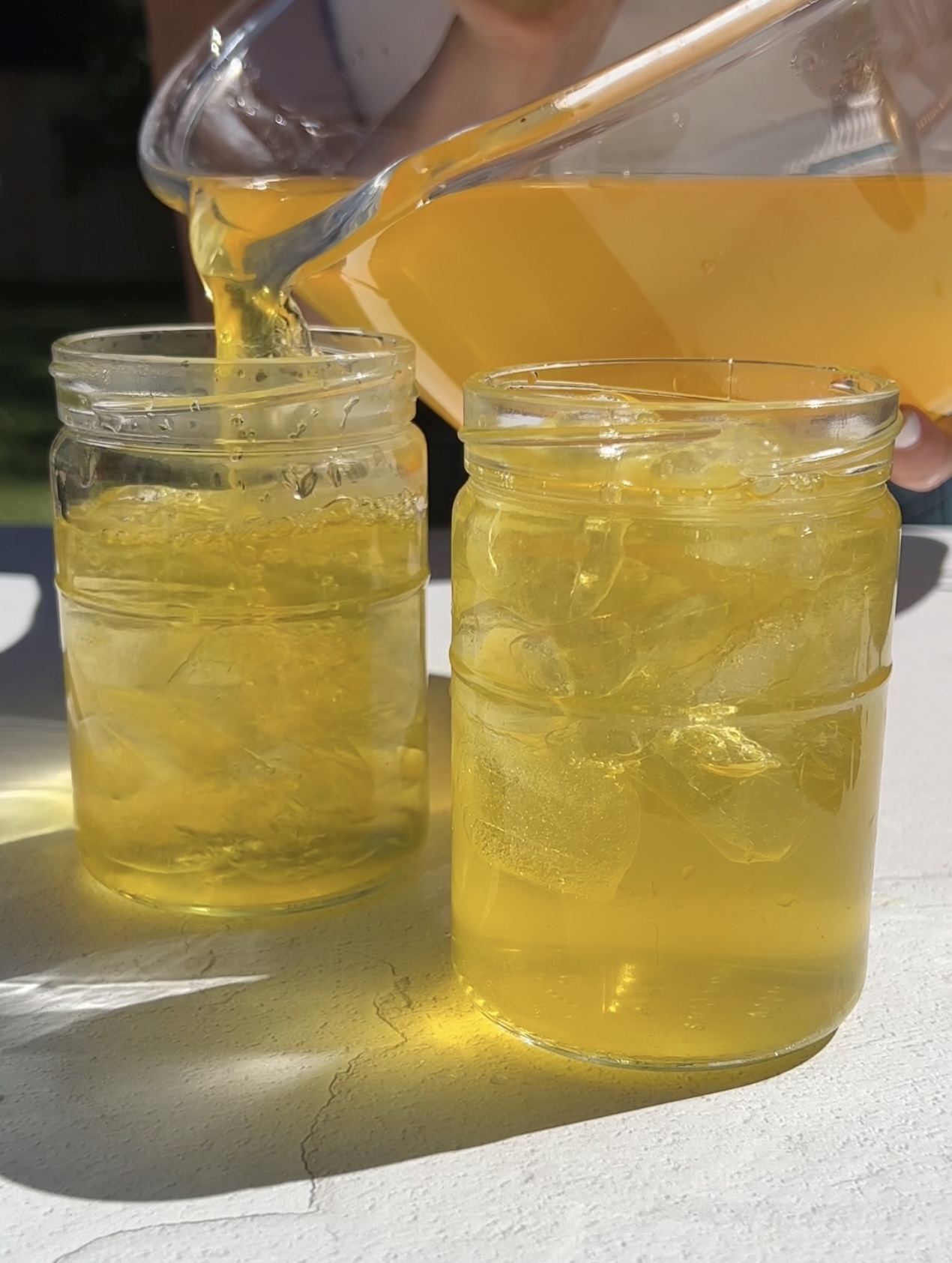 Pineapple Skin Tea PlantYou