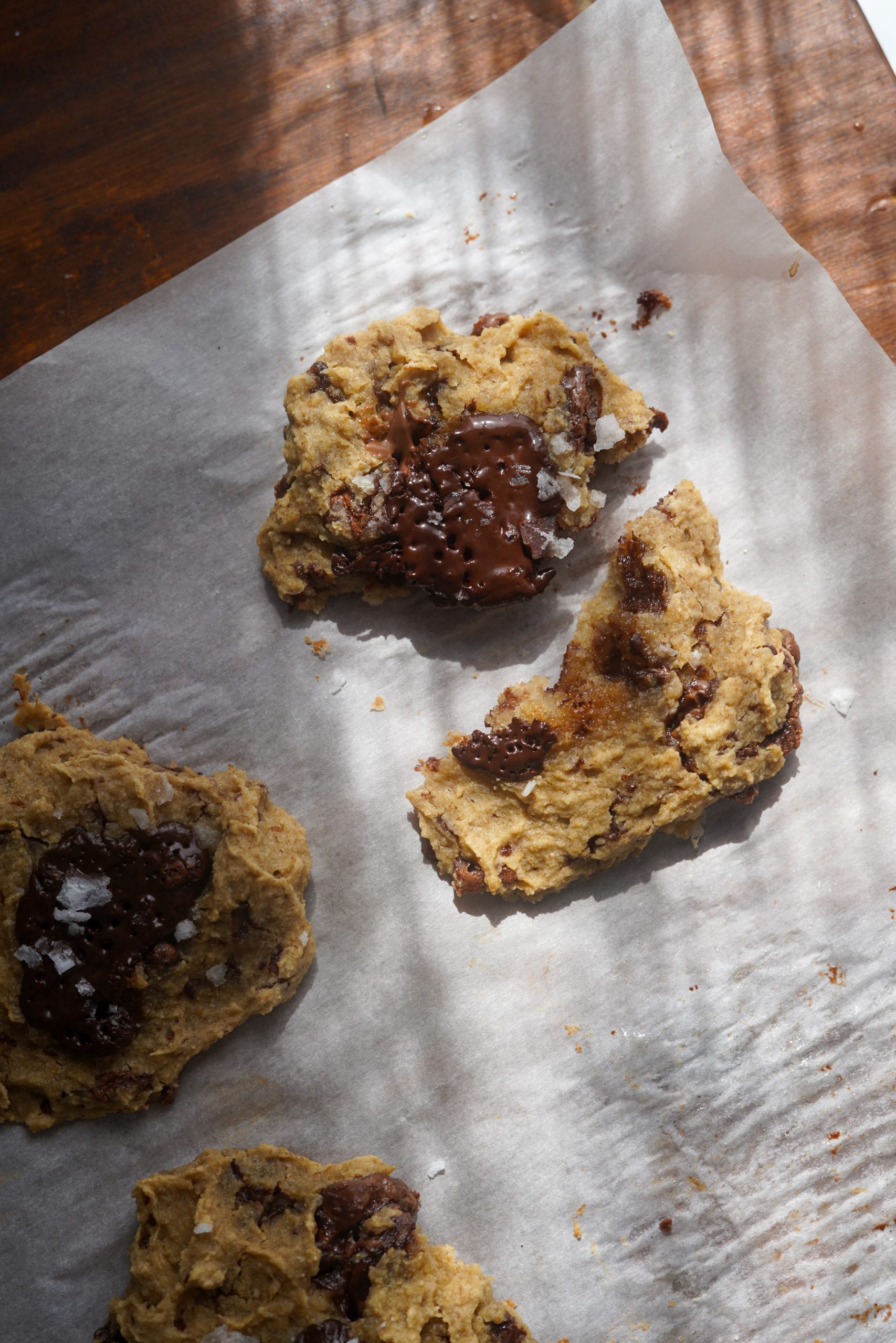 Vegan Oat Pulp Cookies PlantYou