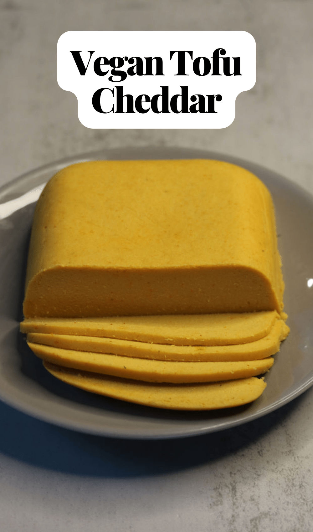 Vegan Tofu Cheese PlantYou