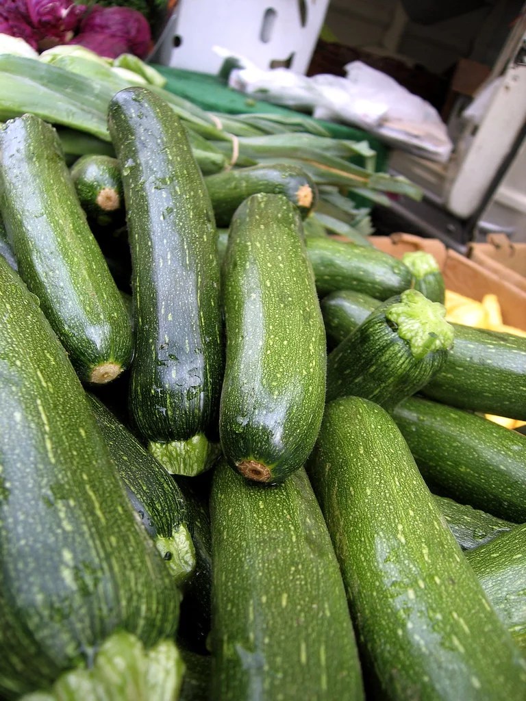 How Much Does One Zucchini Plant Yield? Plan Your Patch