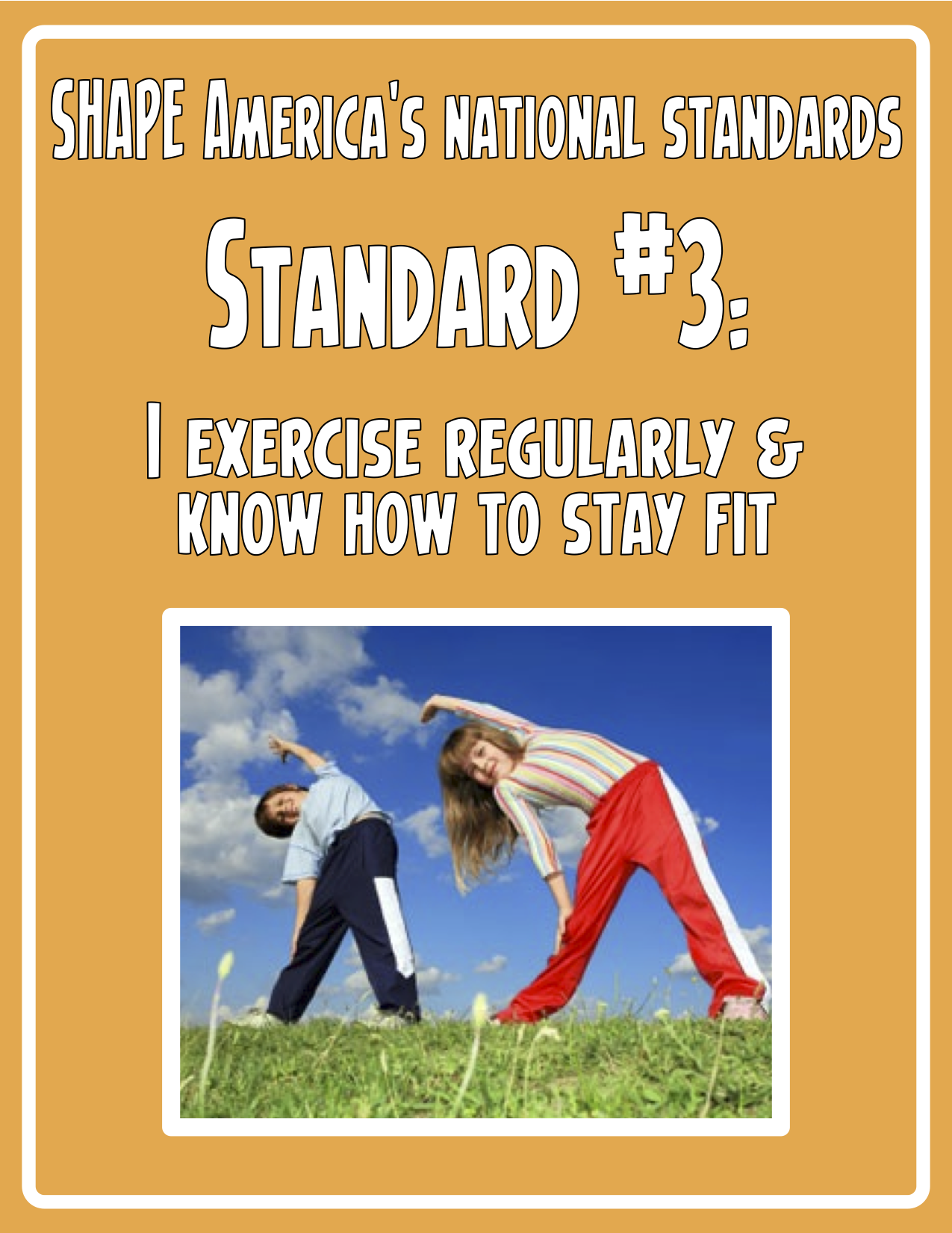 Kid Friendly National Standards Posters