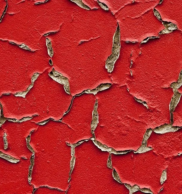 Can You Plaster Over Paint? Plastering For Beginners