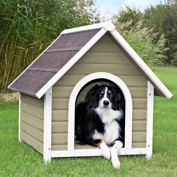 BasicDogKennel Plastic Lumber Resources