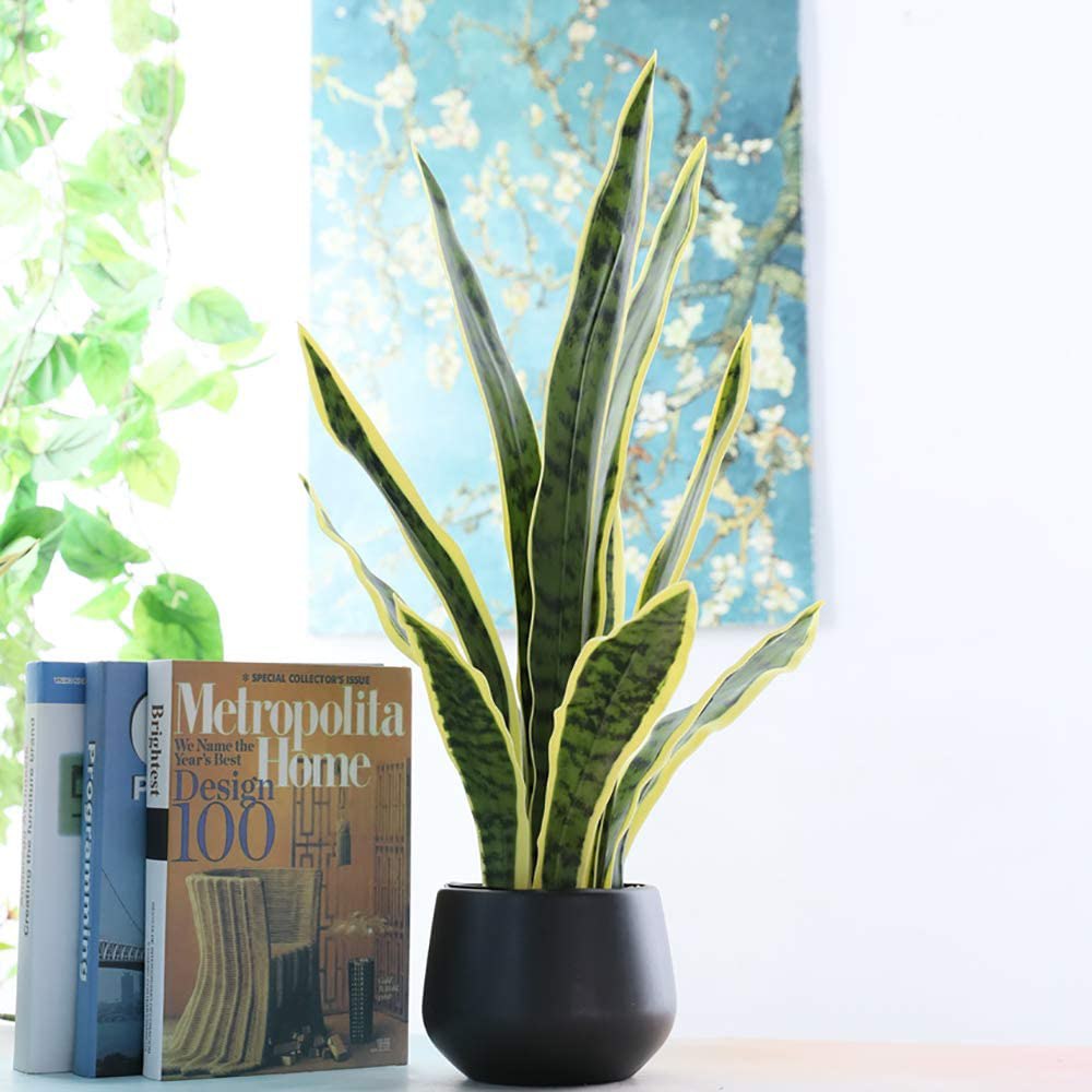 * Artificial Snake Plant Buy Online & Save Free Delivery