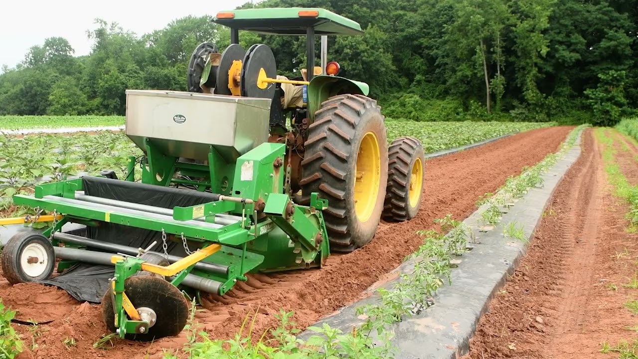 Shining Light on Why Plastics Turn Yellow