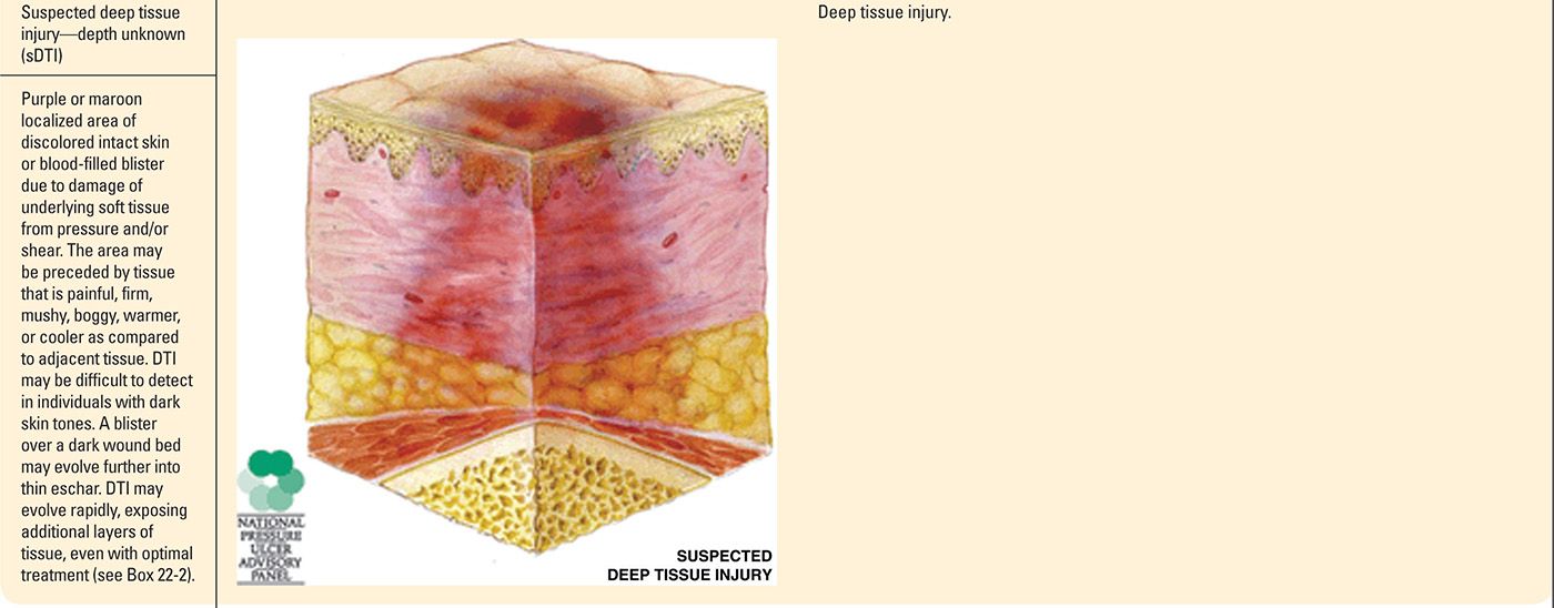 Wound Care Plastic Surgery Key