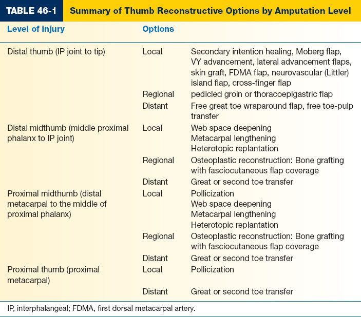 Thumb Reconstruction Plastic Surgery Key