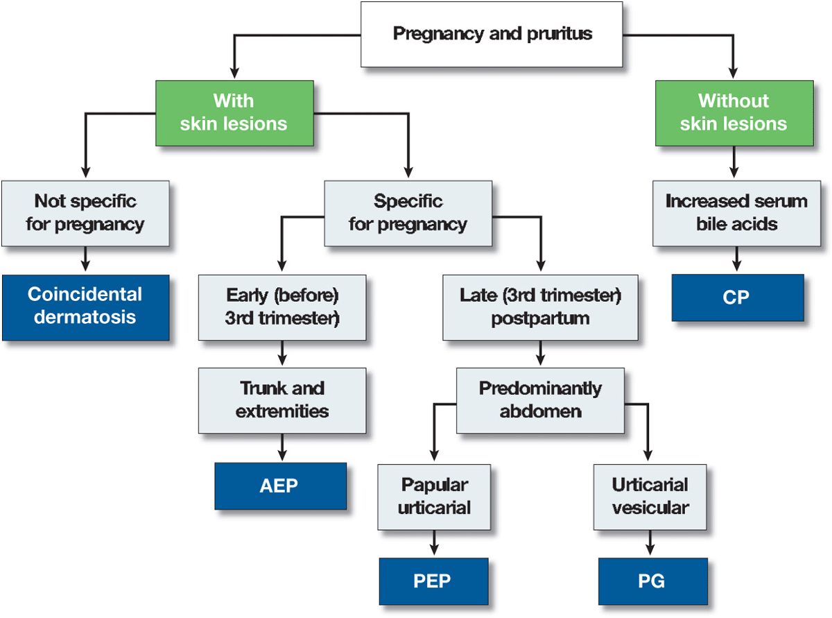 Icd 9 Cholestasis Of Pregnancy
