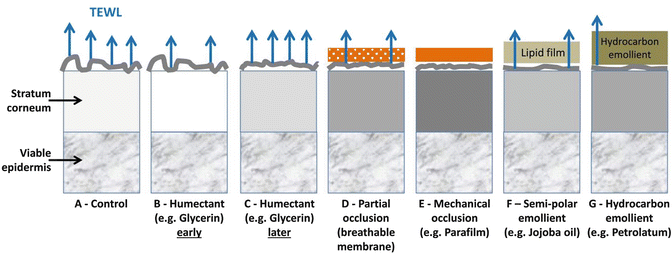 The Influence of Emollients on Dermal and Transdermal Drug Delivery ...