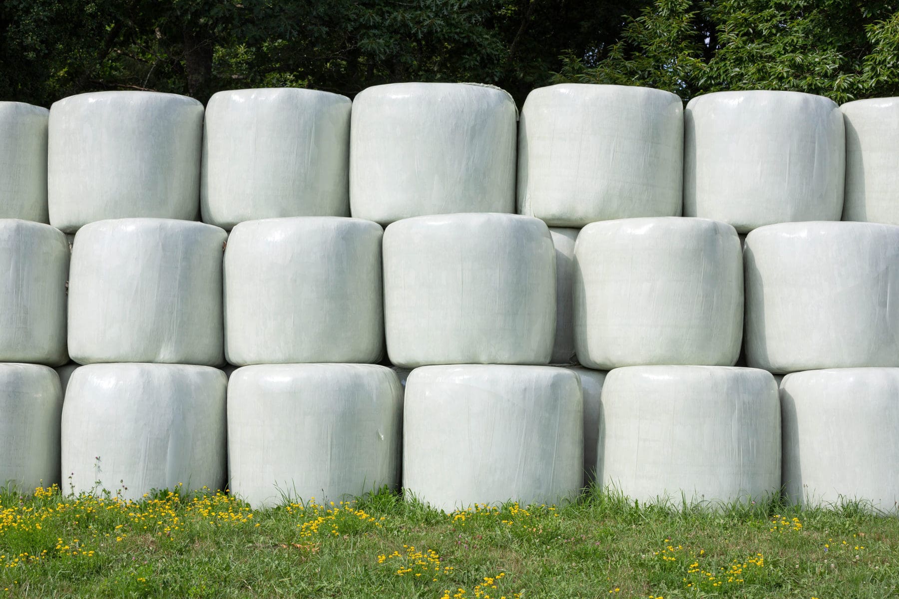 Silage Wrap Amplast 7 Plastitech