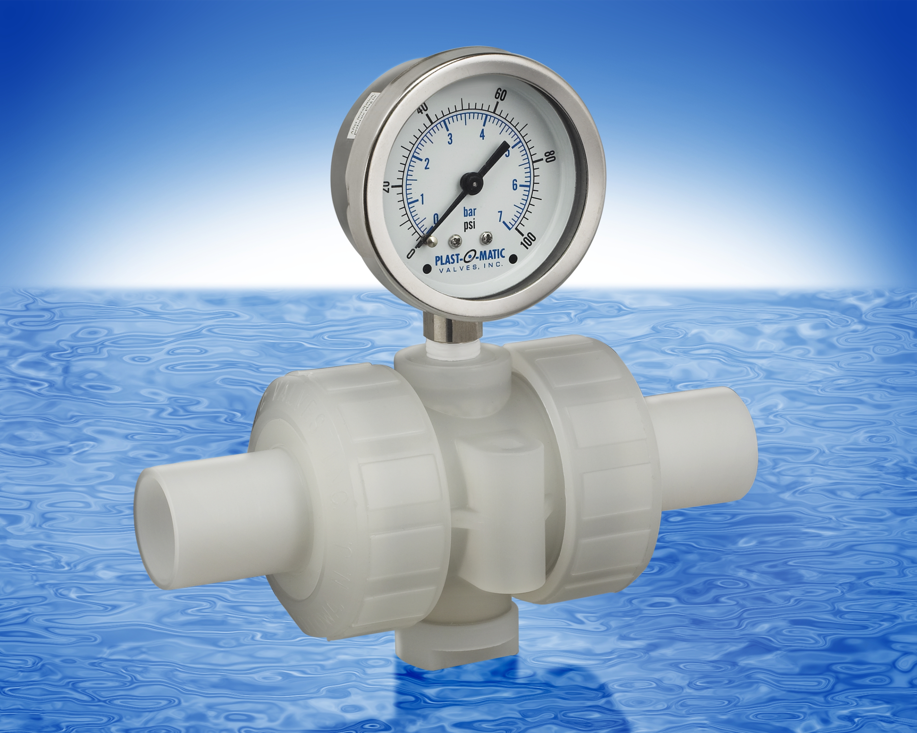 Introduction to Gauge Guards PlastOMatic Valves, Inc.