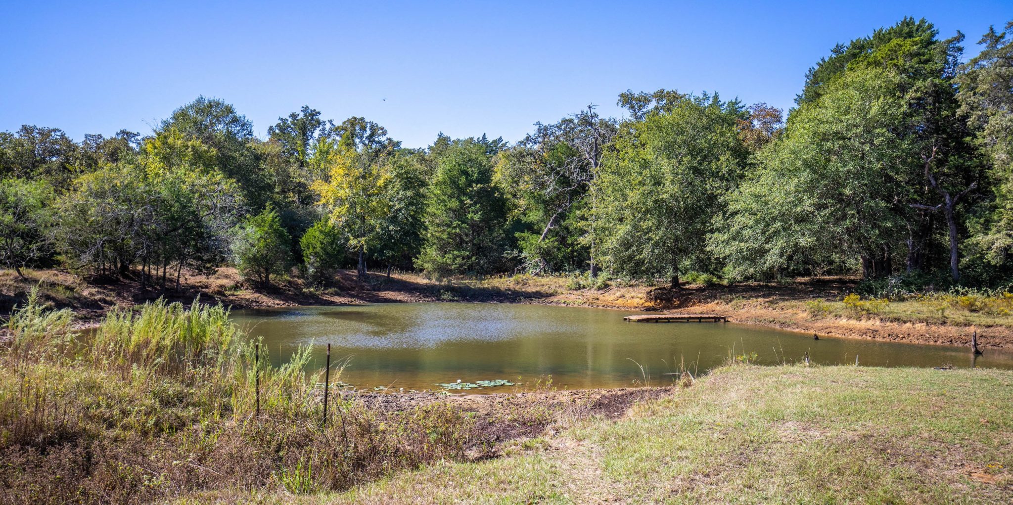 Seasons August 2020 Plateau Land & Wildlife Management